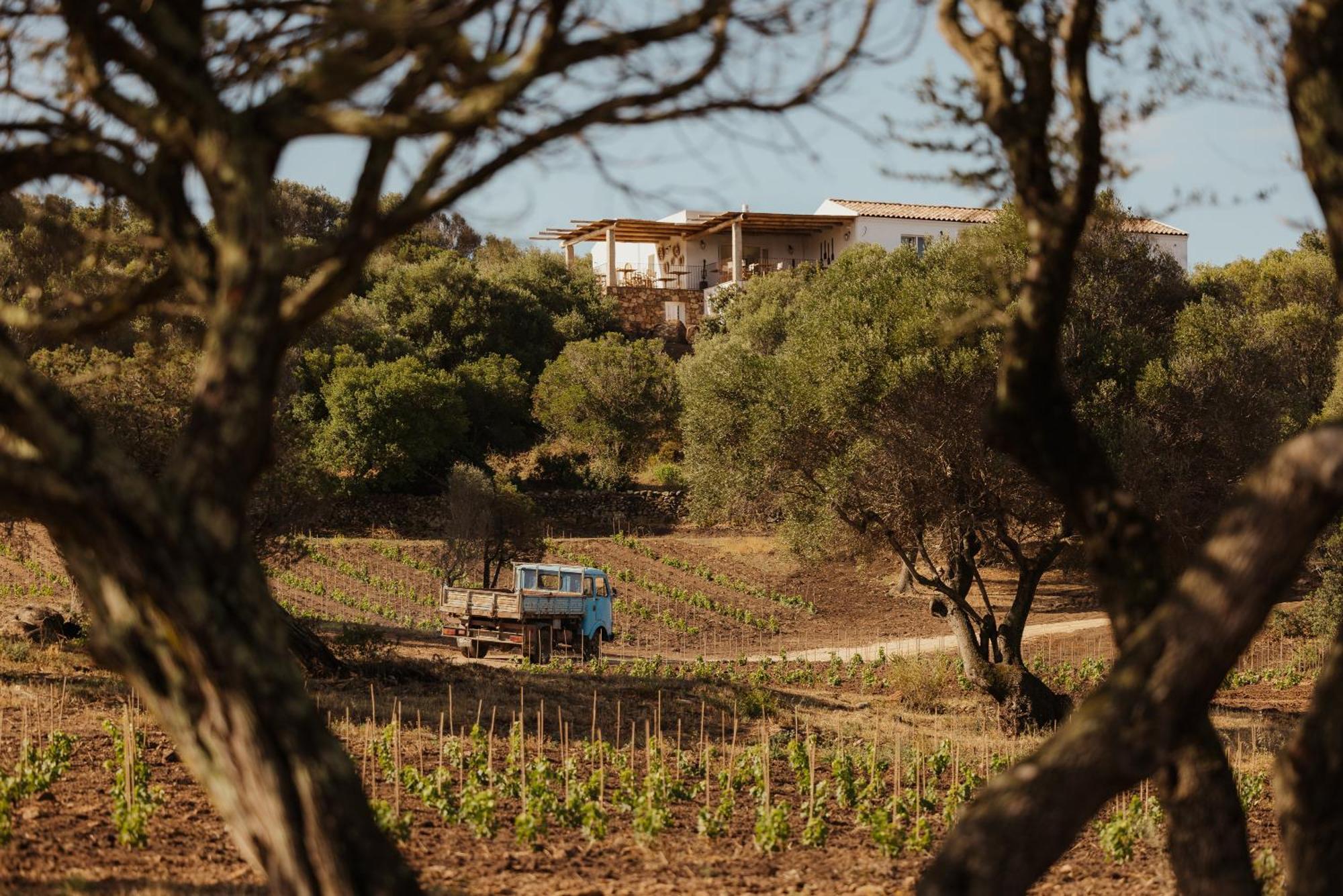 Nuali - Stazzo In Gallura ปาเลา ภายนอก รูปภาพ