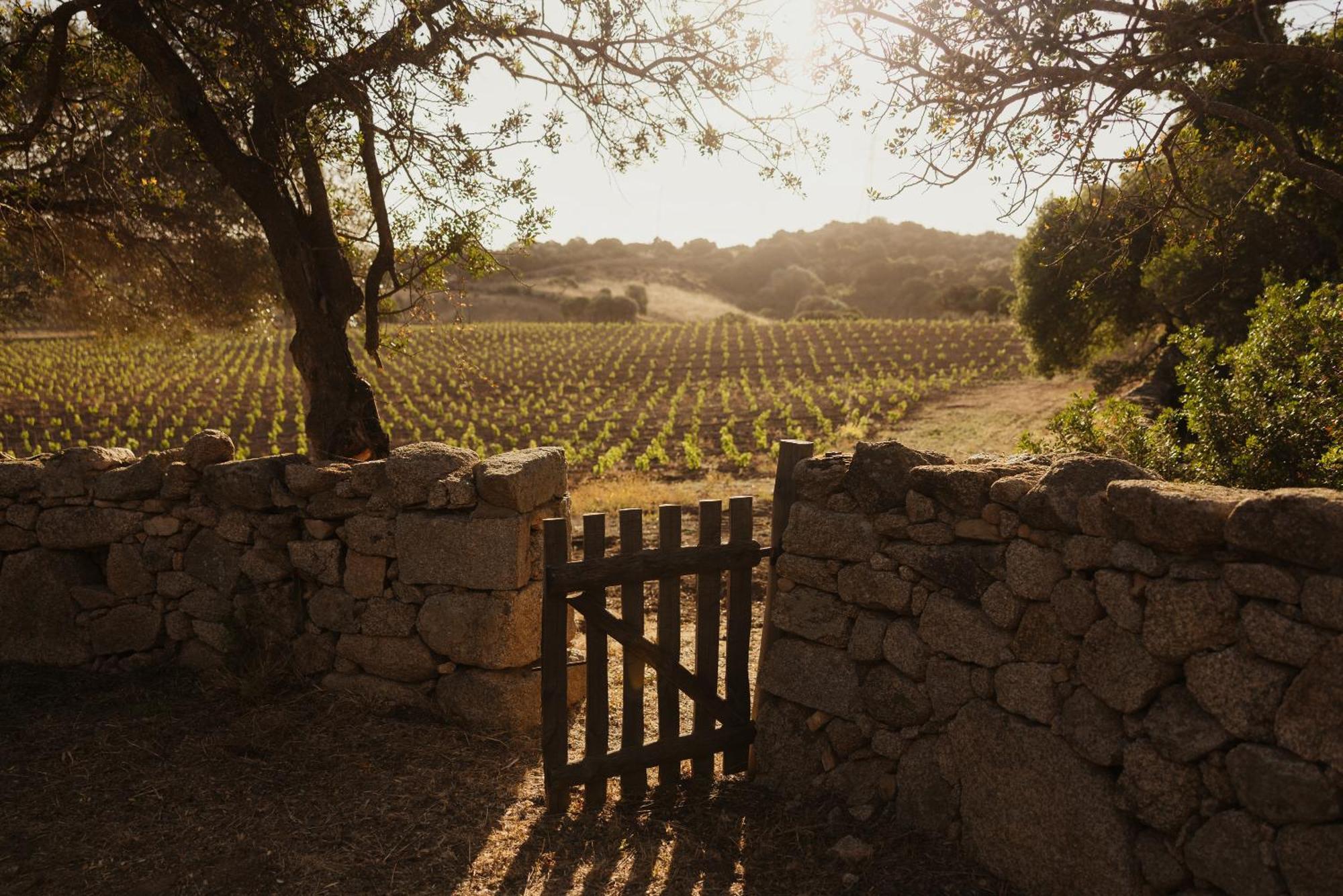 Nuali - Stazzo In Gallura ปาเลา ภายนอก รูปภาพ