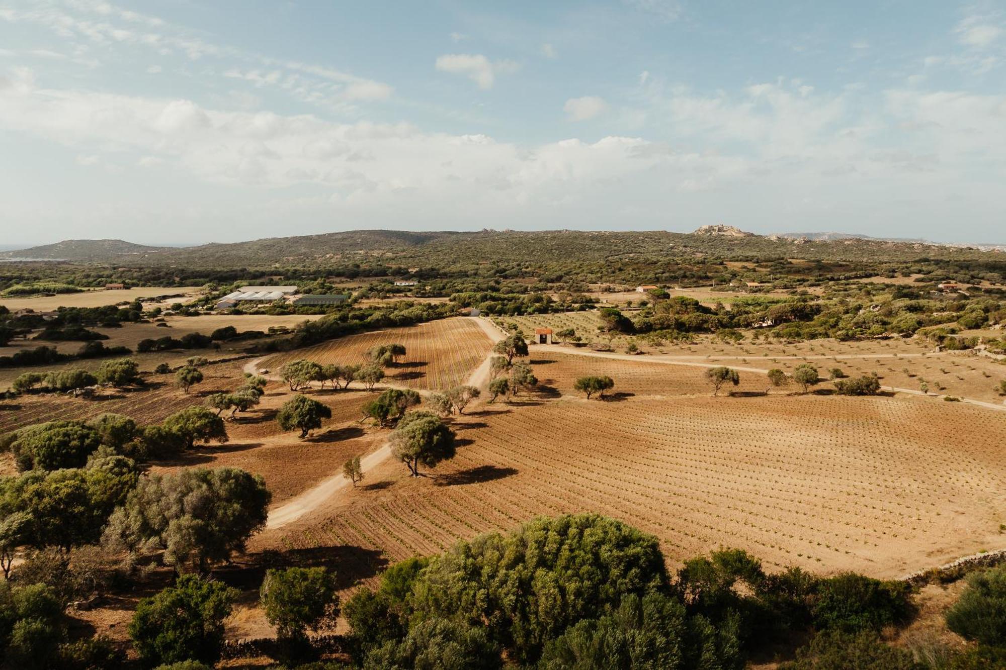 Nuali - Stazzo In Gallura ปาเลา ภายนอก รูปภาพ