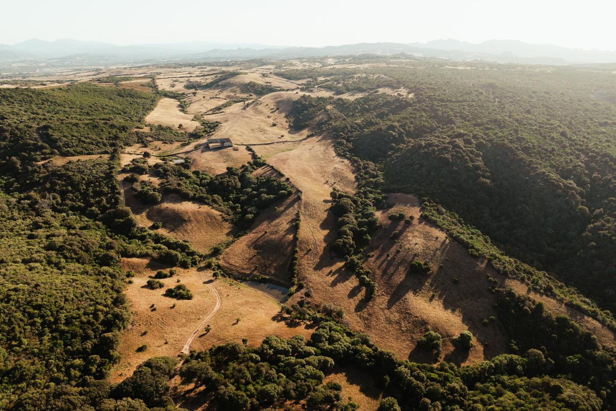 Nuali - Stazzo In Gallura ปาเลา ภายนอก รูปภาพ